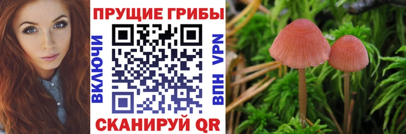 Галлюциногенные грибы мухоморы маркетплейс телеграм Челябинск где купить