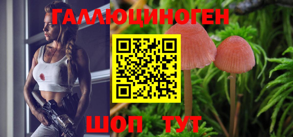 Галлюциногенные грибы прущие грибы Челябинск