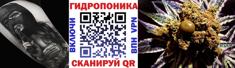 наркота  Челябинск  Шишки марихуана планчик 